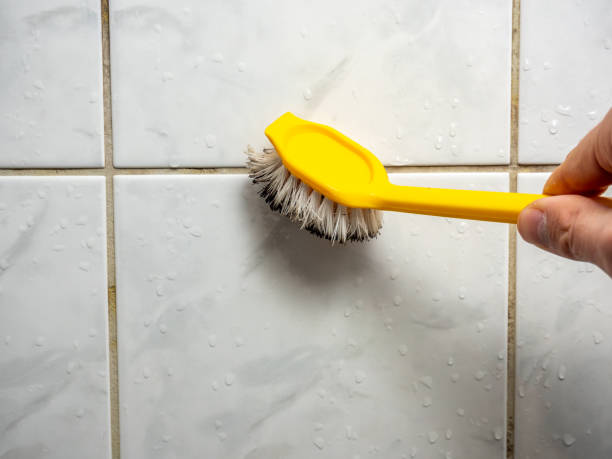 Mold Removal and Inspection in Slidell, LA