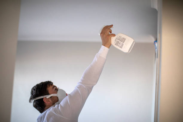 Best Fast Mold Removal  in Slidell, LA