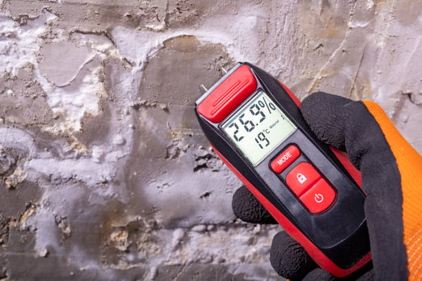 Trusted Slidell, LA Mold Removal Experts
